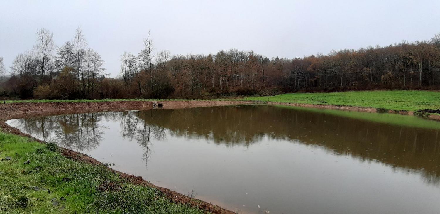 Domaine De La Moretie Cublac Eksteriør billede